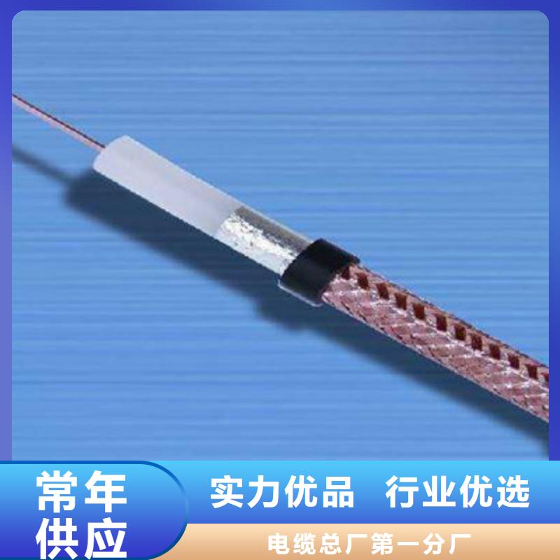 【射频同轴电缆】电缆生产厂家制造厂家 电缆总厂分厂(台湾分公司)