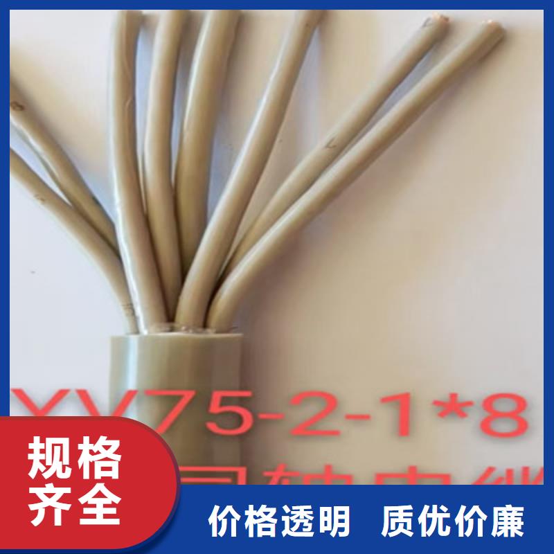 射频同轴电缆信号电缆快速物流发货
