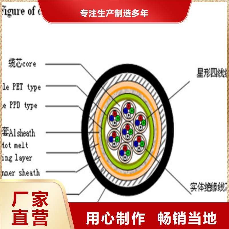 屏蔽电缆视频-河北省邯郸市|广平|复兴|秦皇岛|石家庄|承德|衡水|保定|沧州屏蔽电缆-电缆