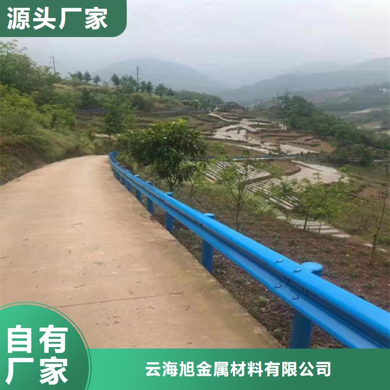 波形护栏-【河道护栏】专业信赖厂家