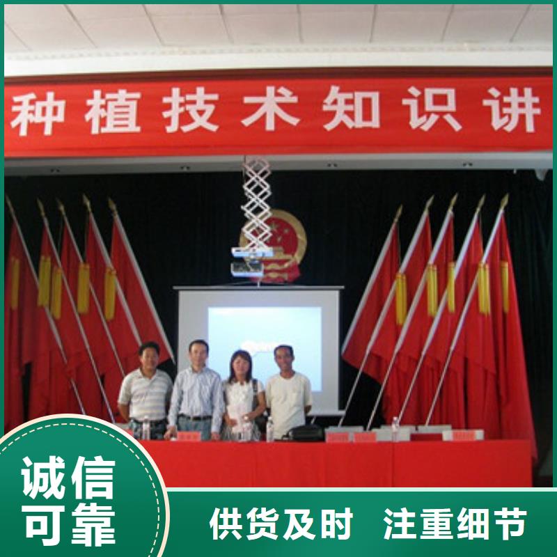 草莓苗大棚草莓苗每一处都是匠心制作