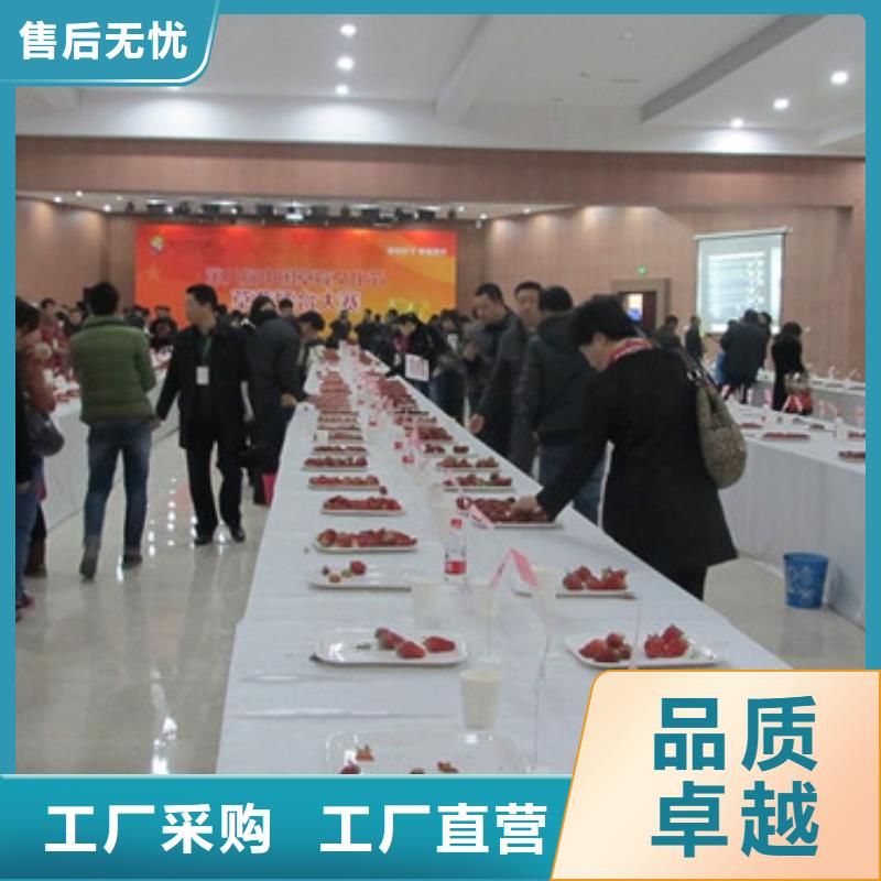 【草莓苗】 蜂糖李子树苗现货直发