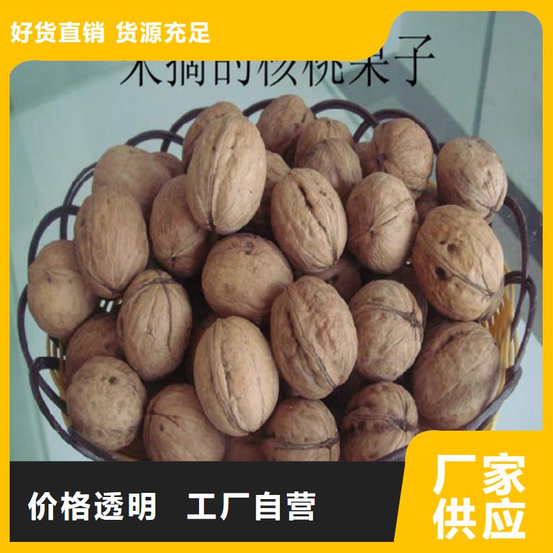 核桃苗,蓝宝石葡萄树苗按需定制