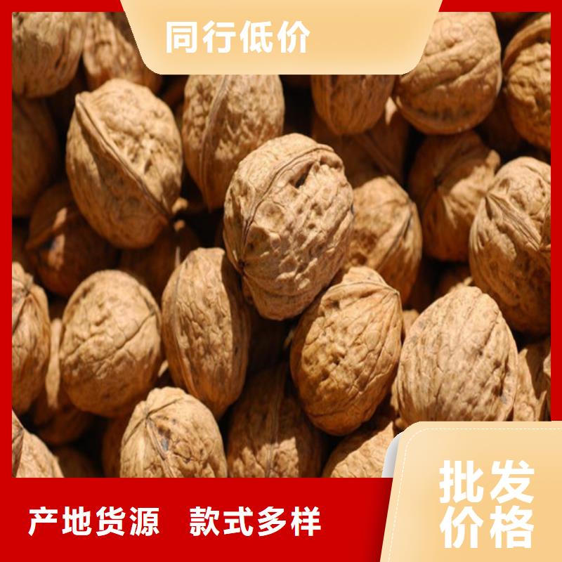 【核桃苗天仙醉草莓苗源头工厂】