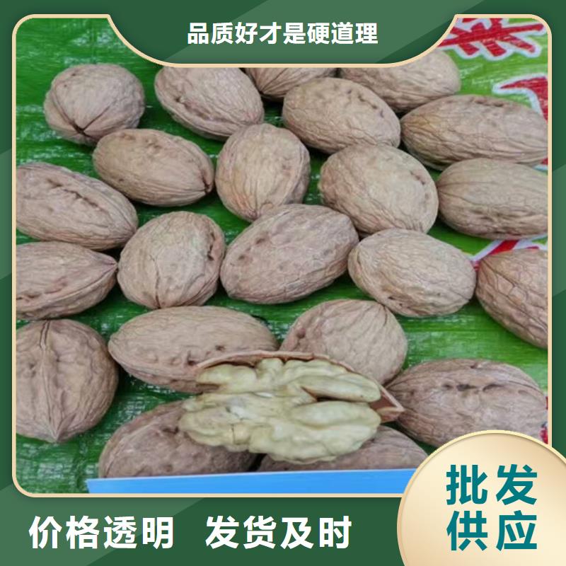 核桃苗黄桃树苗产品细节