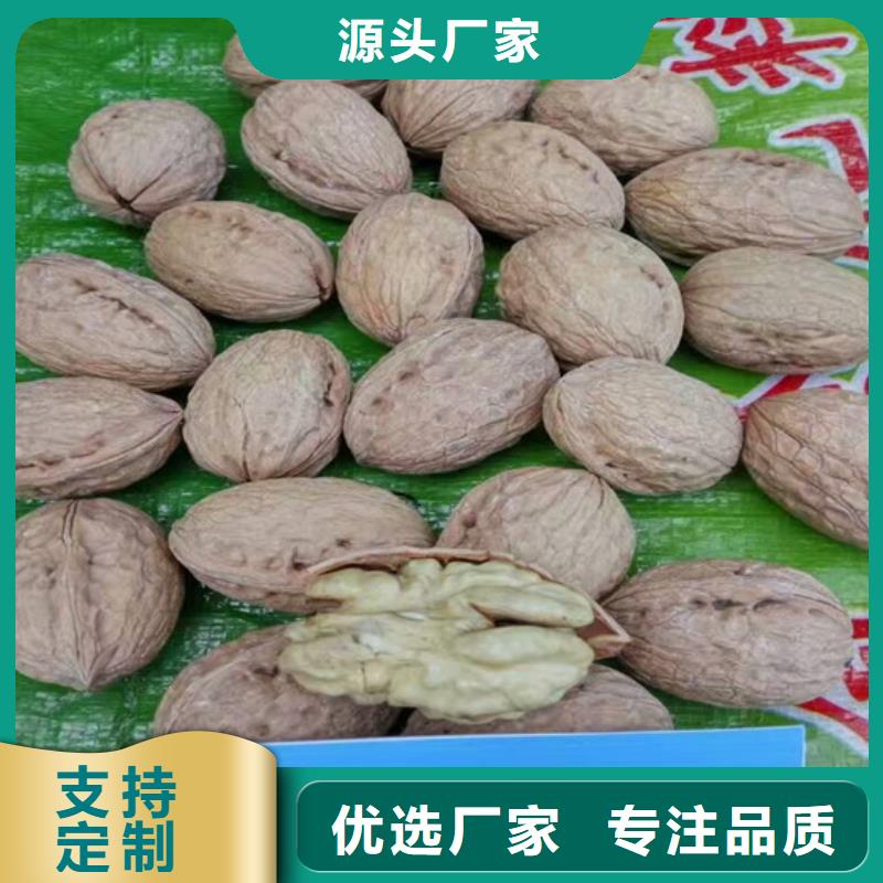 核桃苗草莓苗价格厂家直销规格多样