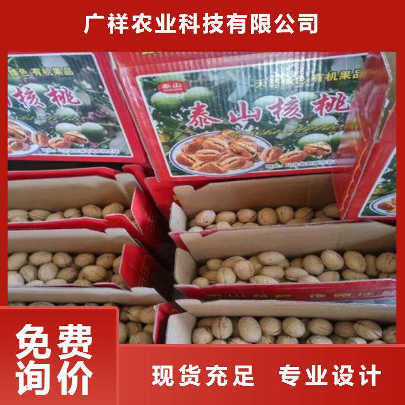 核桃苗桃树苗基地质量可靠