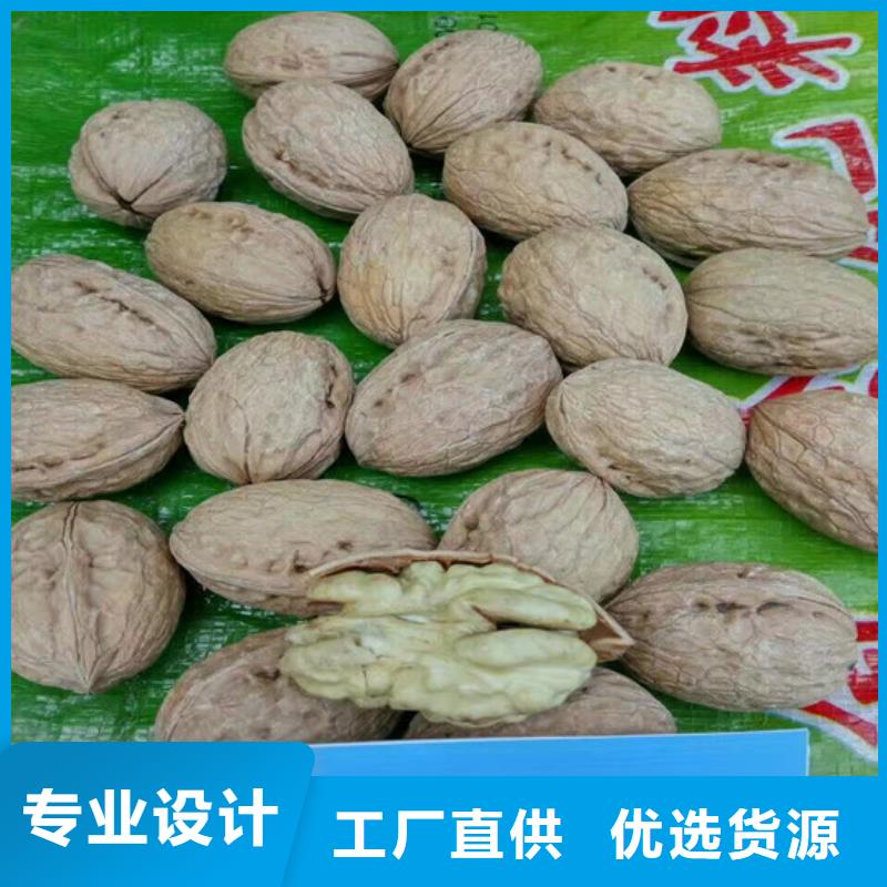 核桃苗红颜草莓真实拍摄品质可靠