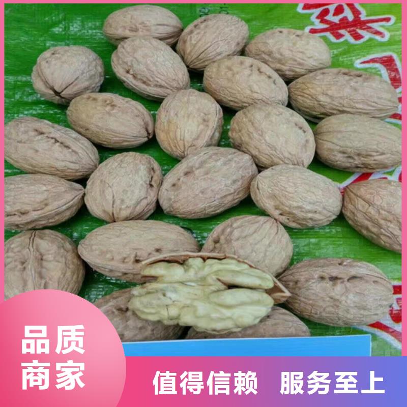 核桃苗蓝宝石葡萄苗专业生产厂家