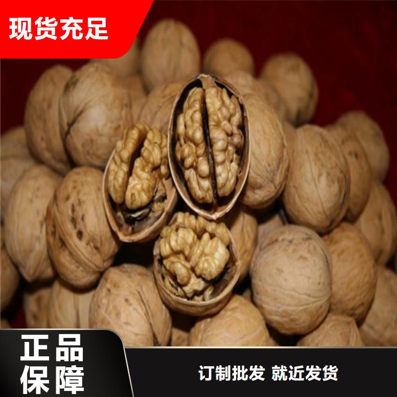 核桃苗桃树苗基地质保一年