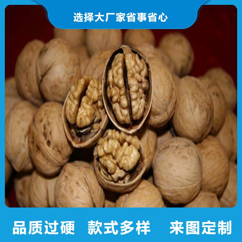 核桃苗冬雪蜜桃树苗优质原料