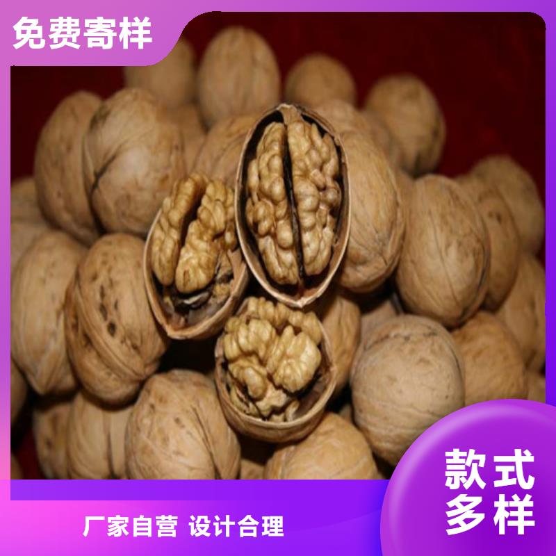 核桃苗红颜草莓真实拍摄品质可靠