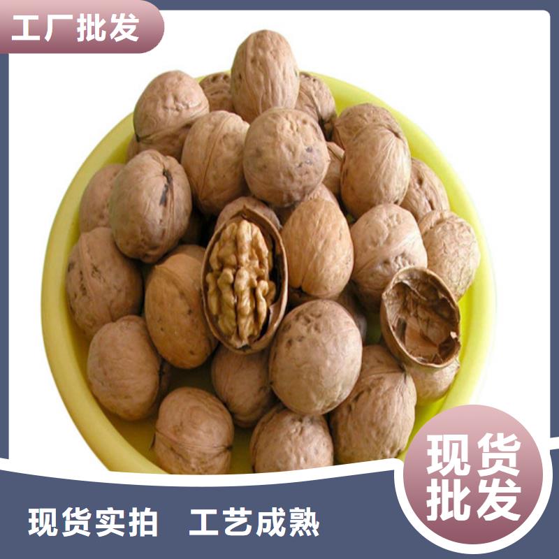 核桃苗蓝莓苗优选原材