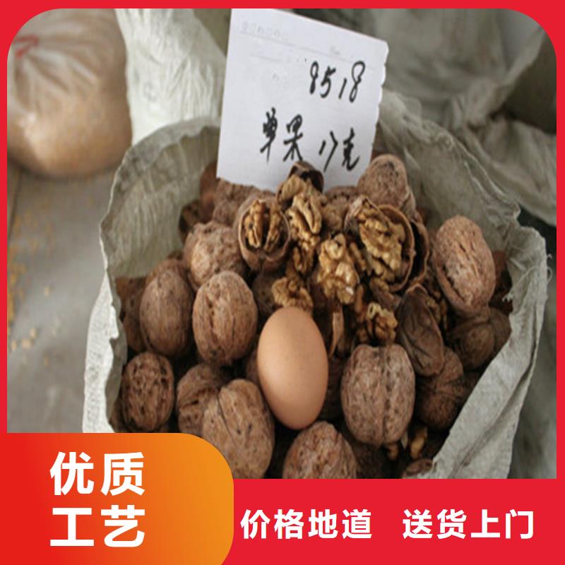 核桃苗蓝莓苗优选原材