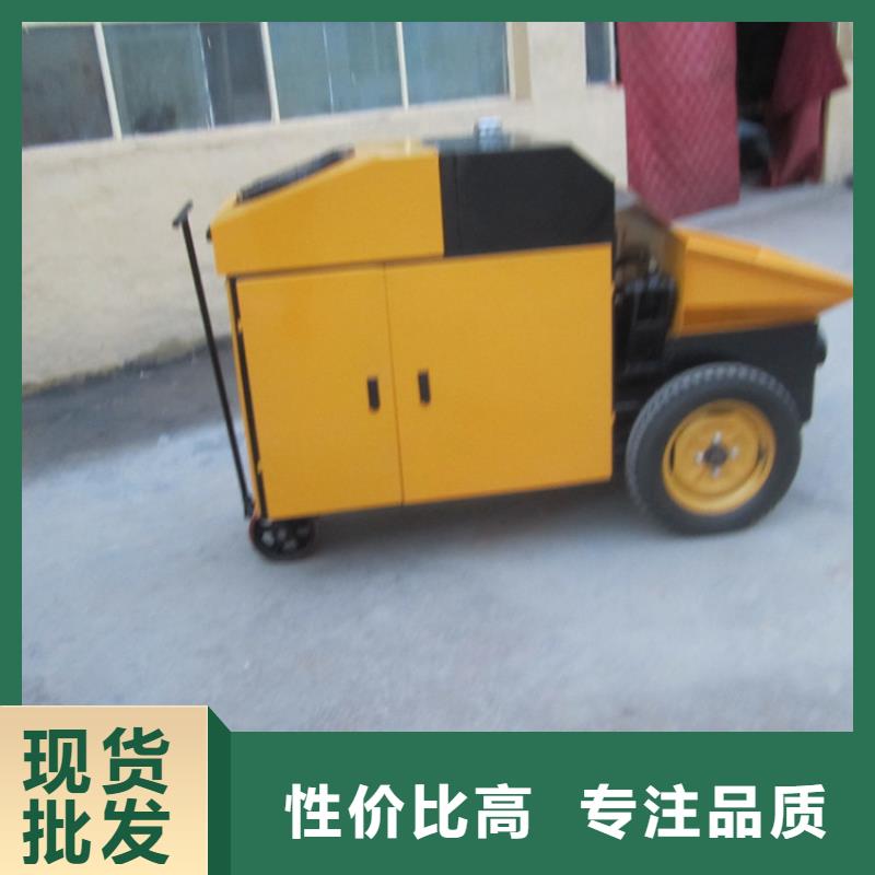 二次构造柱泵_电动上砖机多年实力厂家
