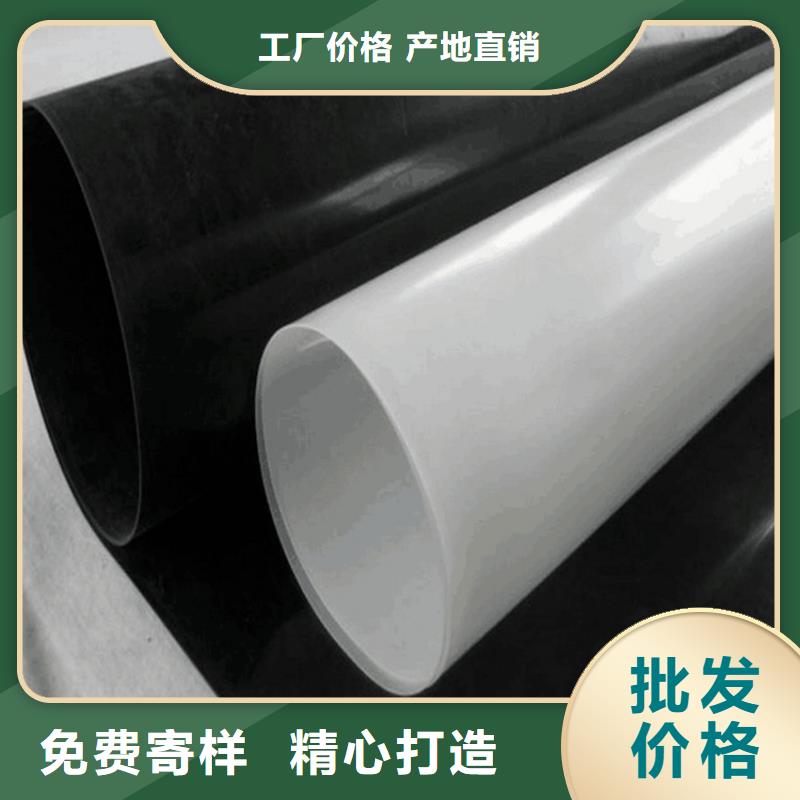 土工膜-防渗膜专心专注专业