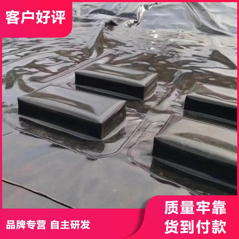 【 土工膜-防渗膜源头厂家量大价优】鼎诺复合土工膜