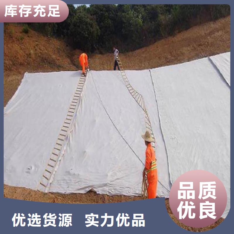 【土工布】膨润土防水毯真材实料