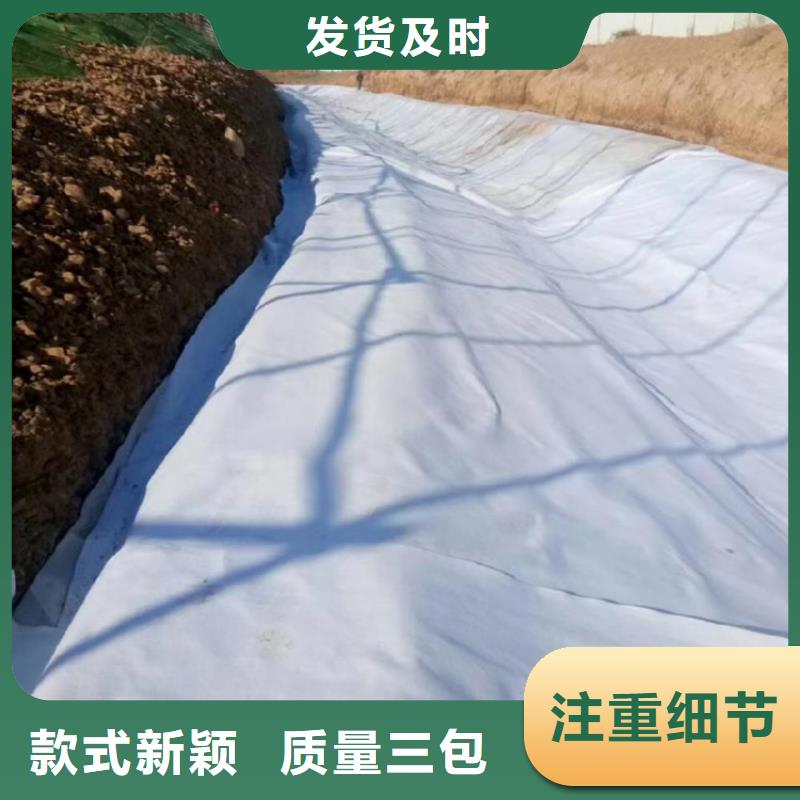 土工布【防渗膜】优质工艺