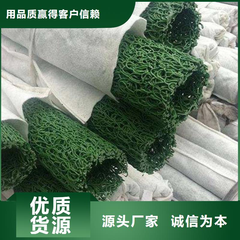 塑料盲沟,HDPE土工膜源头厂源头货