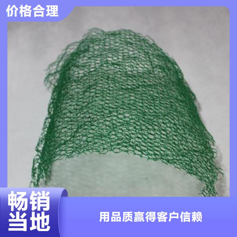 【三维植被网塑料排水板应用范围广泛】