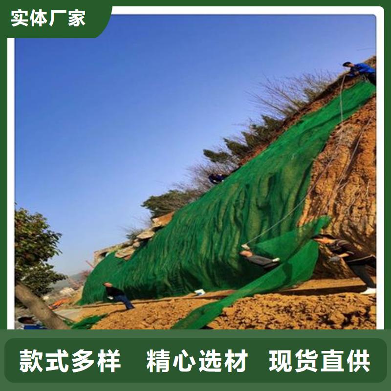 三维植被网-植草格厂家自营
