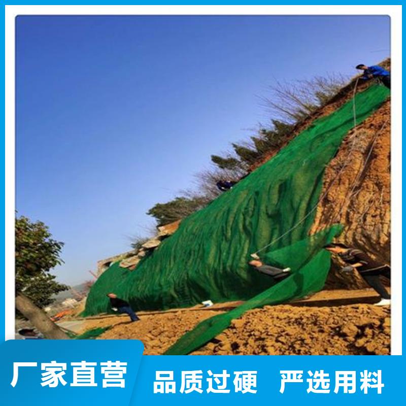 三维植被网软式透水管种类多质量好