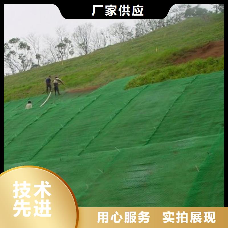 三维植被网【通风降噪丝网】行业优选