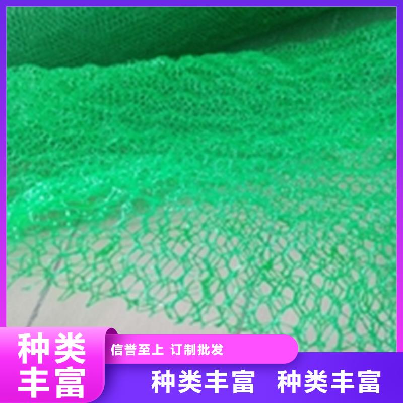 三维植被网-植草格厂家自营