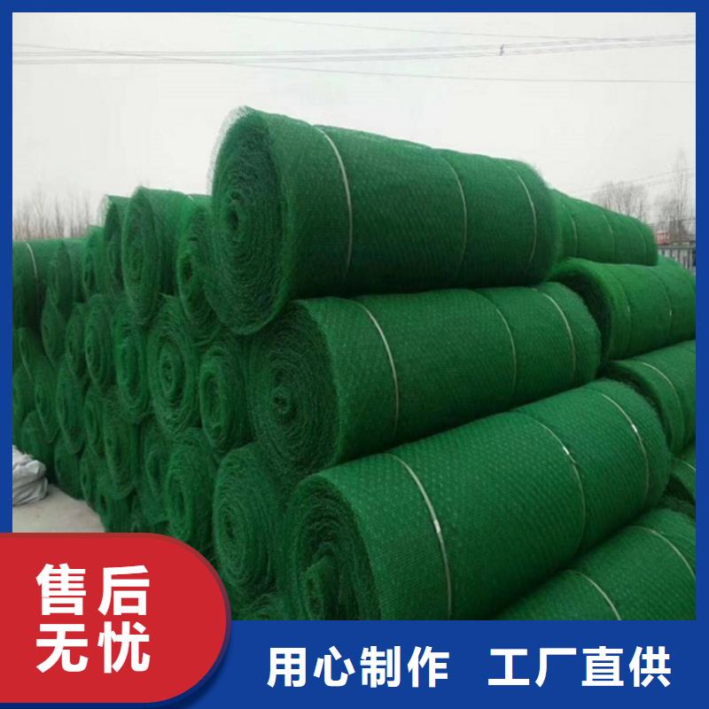 三维植被网防渗膜用心做好每一件产品