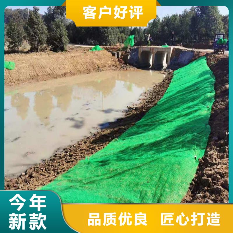 鼎诺复合土工膜三维植被网_【防渗膜】品牌企业aq00.com