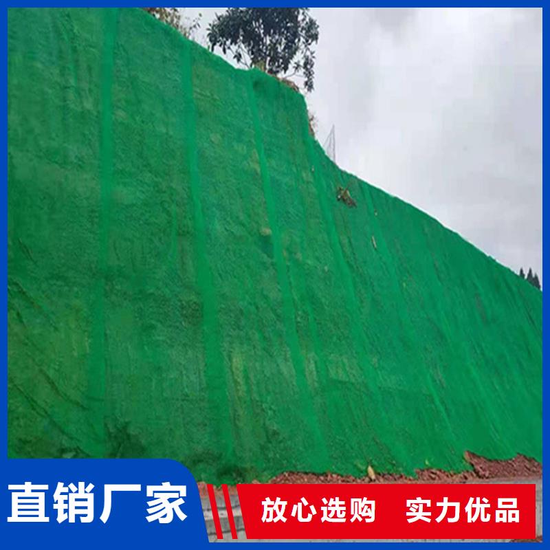 【三维植被网】-软式透水管闪电发货