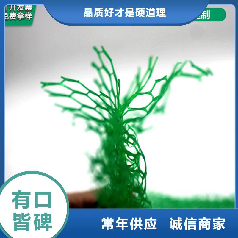 三维植被网复合土工膜实体厂家