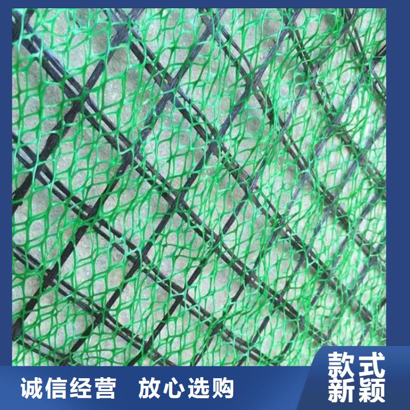 鼎诺复合土工膜三维植被网_【防渗膜】品牌企业aq00.com