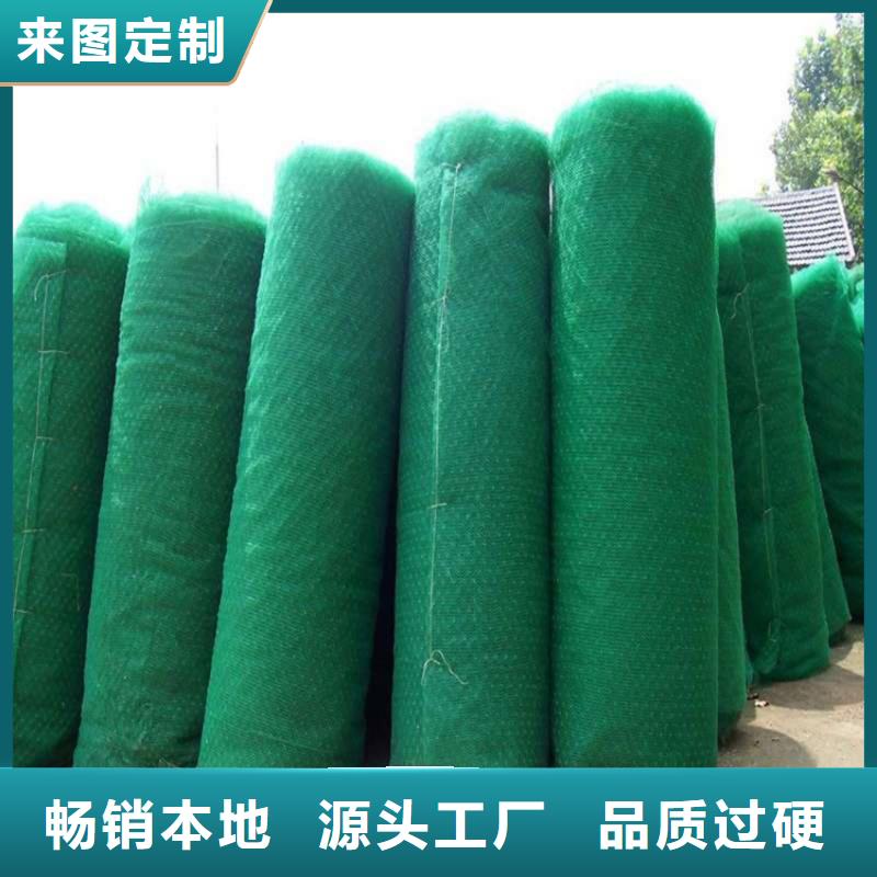 三维植被网-植草格厂家自营