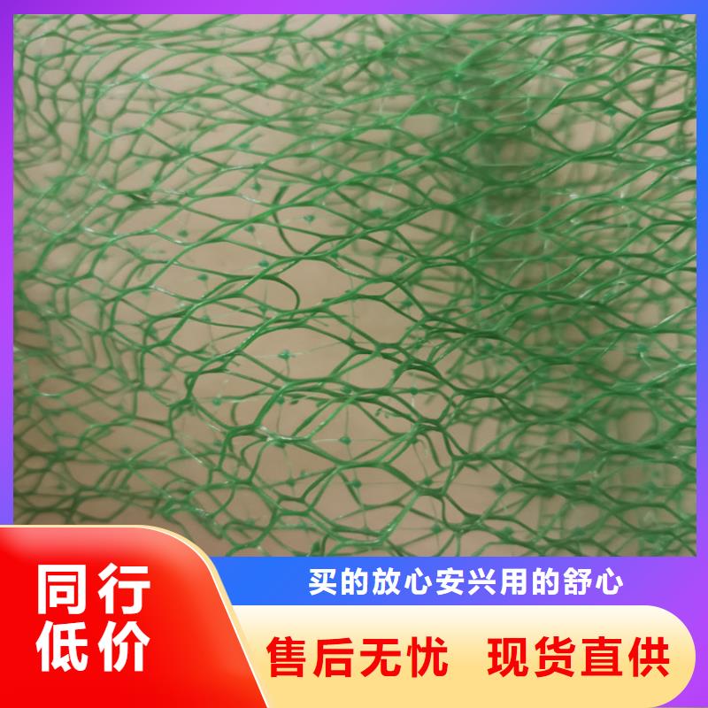 三维植被网-【土工布】快速生产-鼎诺土工材料(合作市分公司)-阿奇乐乐