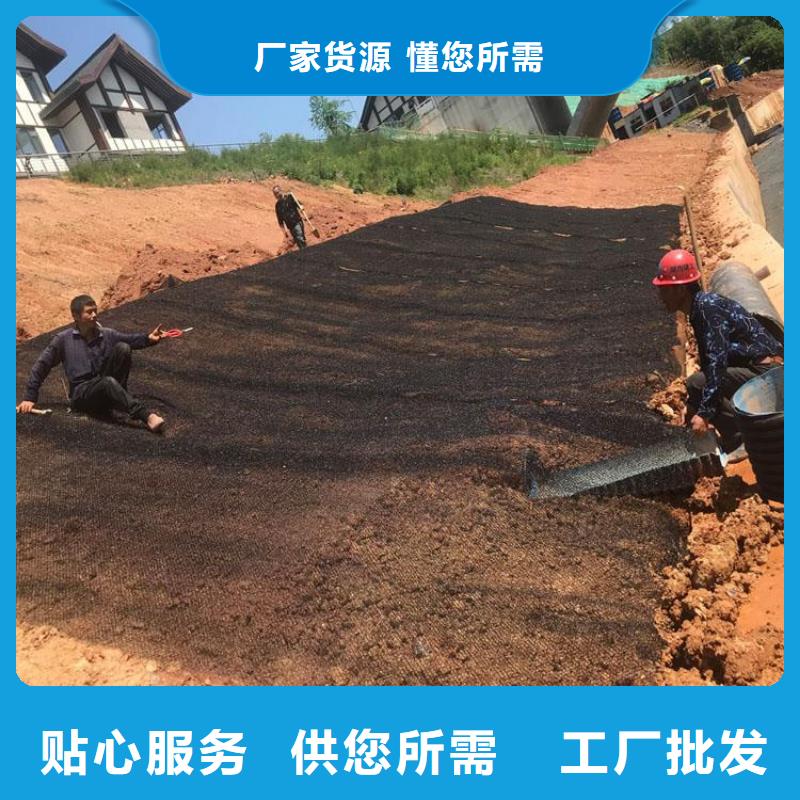 水土保护毯【防水毯】优选厂商