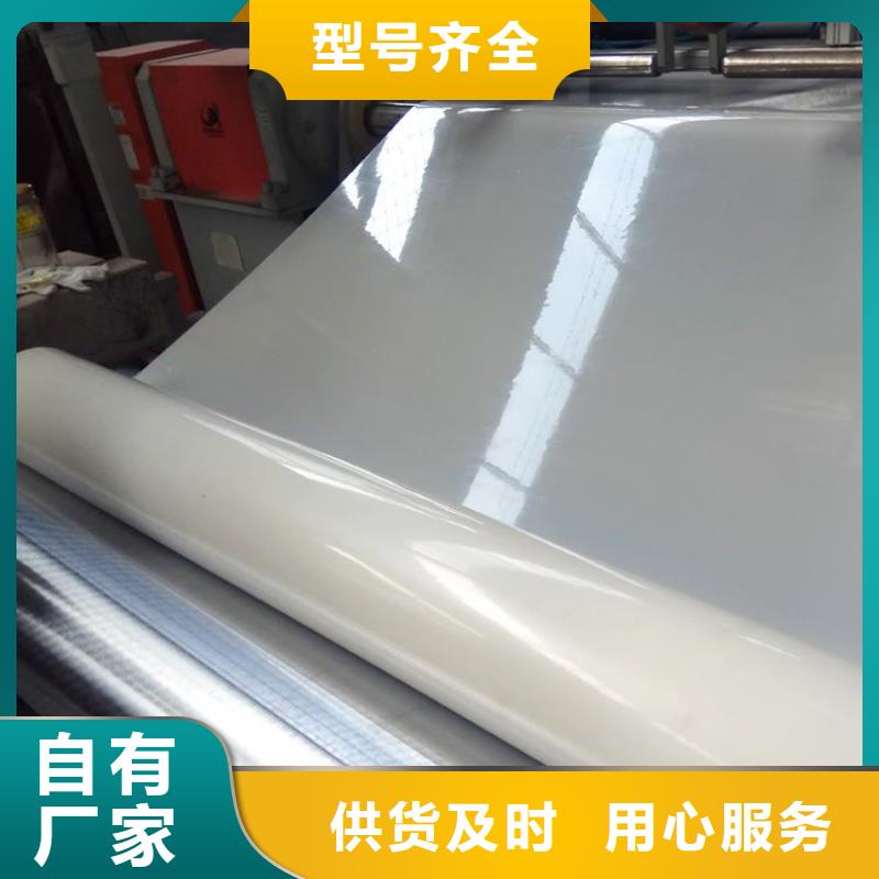 防水板,【HDPE土工膜】专业生产N年|理塘|丹巴|遂宁|成都|广安|广元|德阳|南充货源