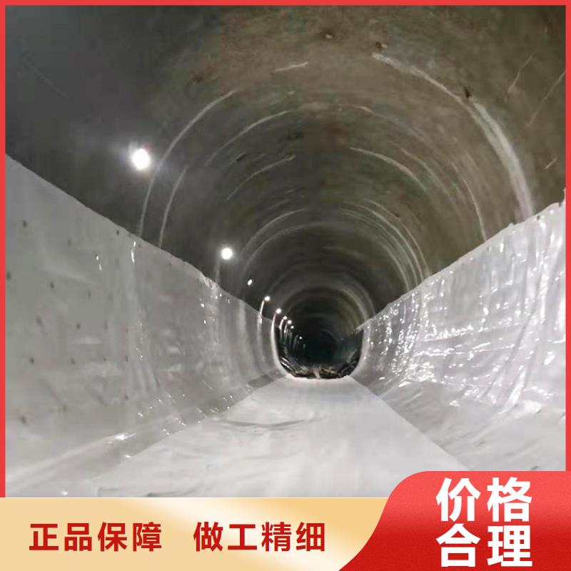 |西安|宝鸡|延安|榆林鼎诺【防水板】-土工膜产品优良