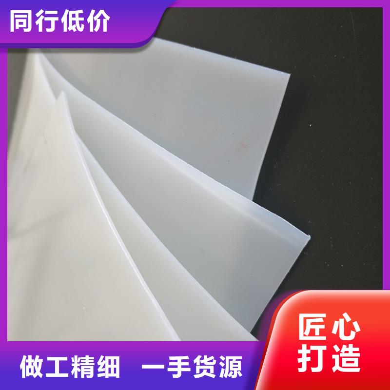 防水板植草格经验丰富品质可靠