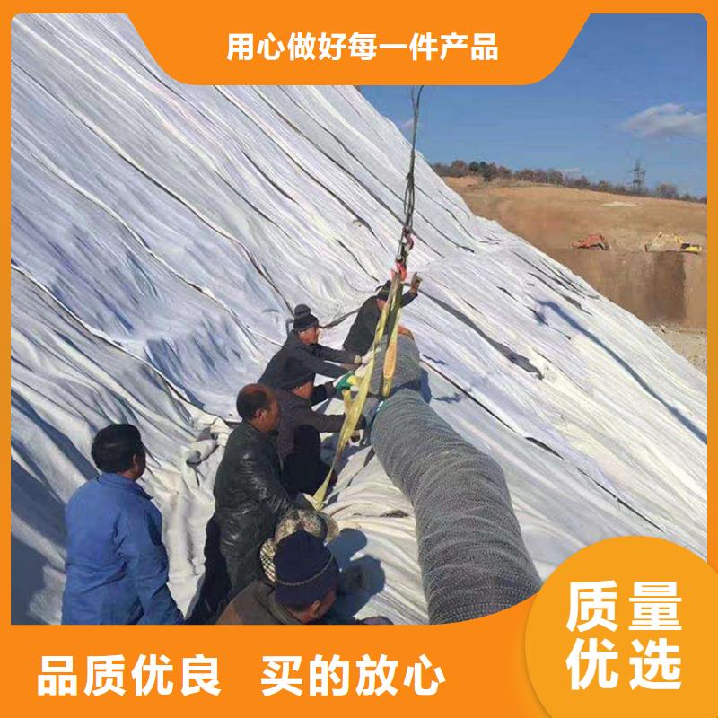 【膨润土防水毯土工席重信誉厂家】