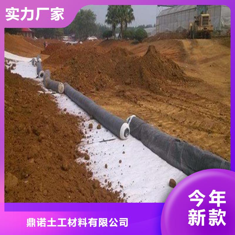 鼎诺复合土工膜【膨润土防水毯】防渗膜产品实拍