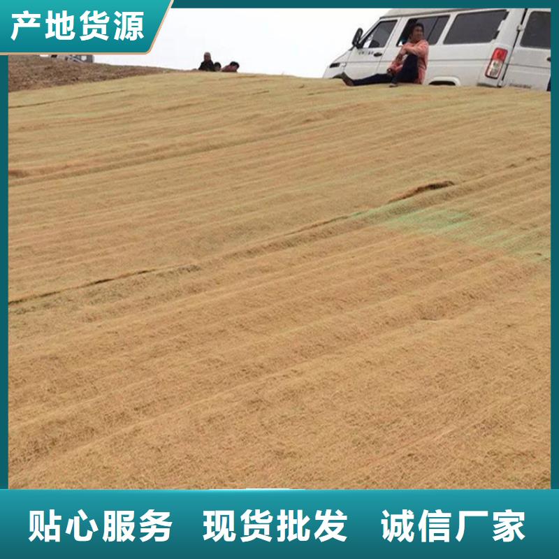 复合土工膜视频-复合土工膜-鼎诺土工材料(韶关市分公司)服务区域曲江|新丰|云浮|江门|深圳|梅州|东莞