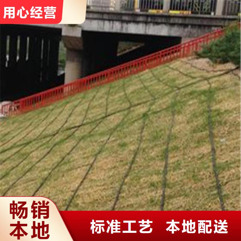 椰丝毯-软式透水管定制零售批发