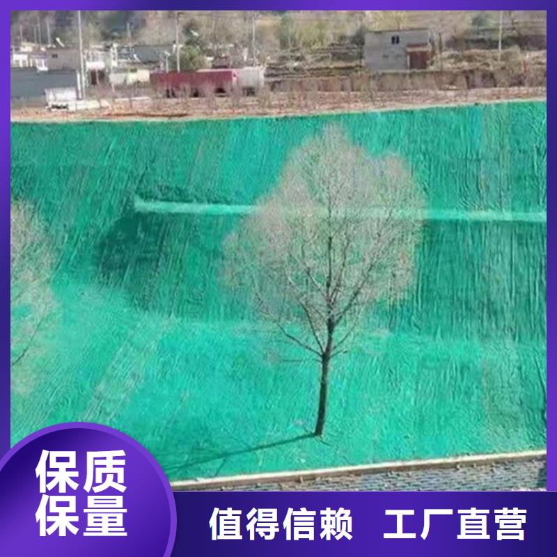 椰丝毯抗裂贴高品质诚信厂家