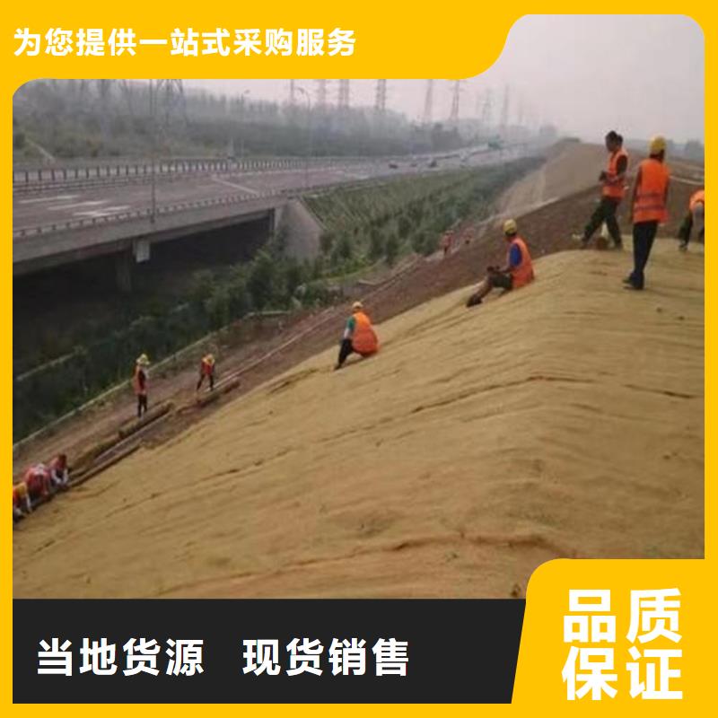 椰丝毯-土工膜厂家质量过硬