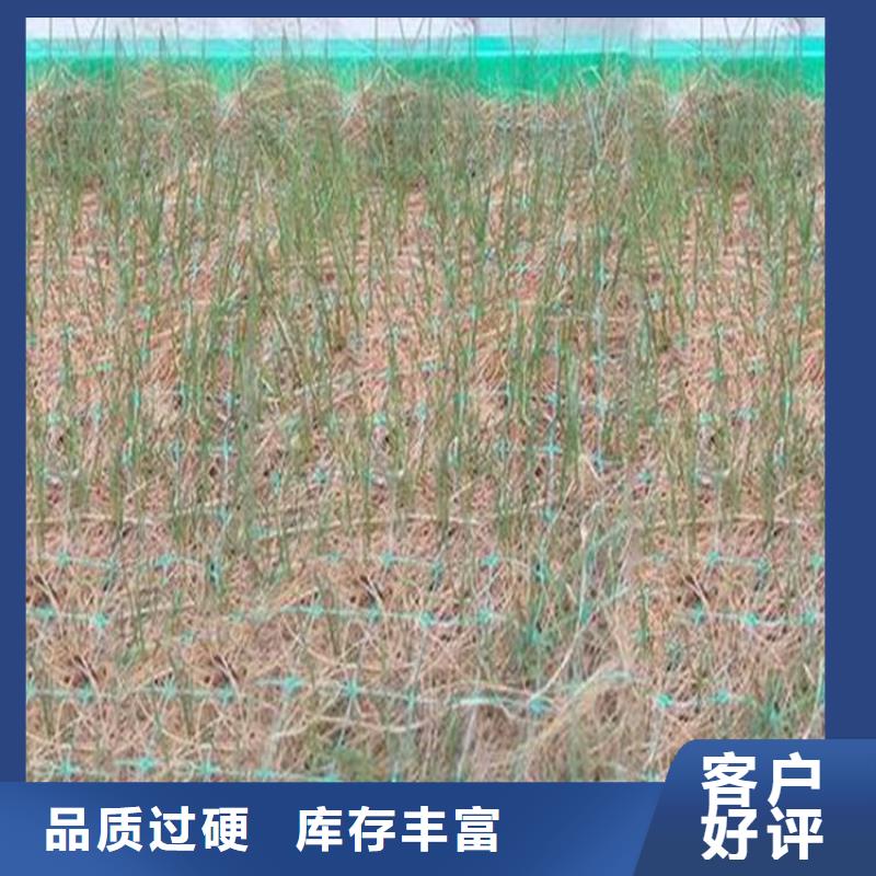 椰丝毯HDPE土工膜厂家十分靠谱