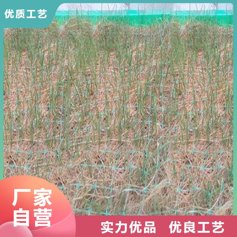 【 椰丝毯-膨润土防水毯敢与同行比服务】 鼎诺土工材料(肇庆市分公司)