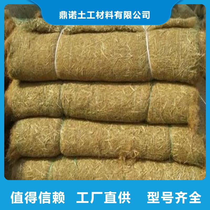 椰丝毯土工席支持定制加工