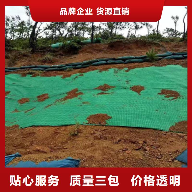 椰丝毯-土工膜厂家质量过硬